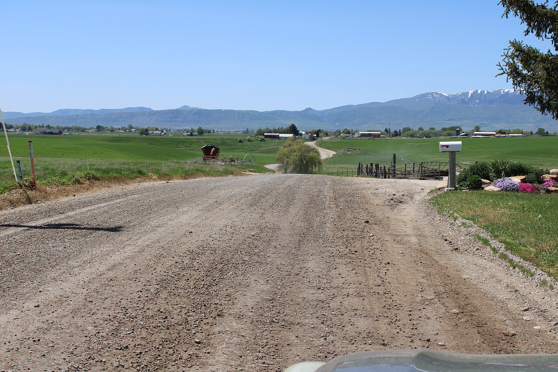 A country road through green farm fields near Preston, Idaho