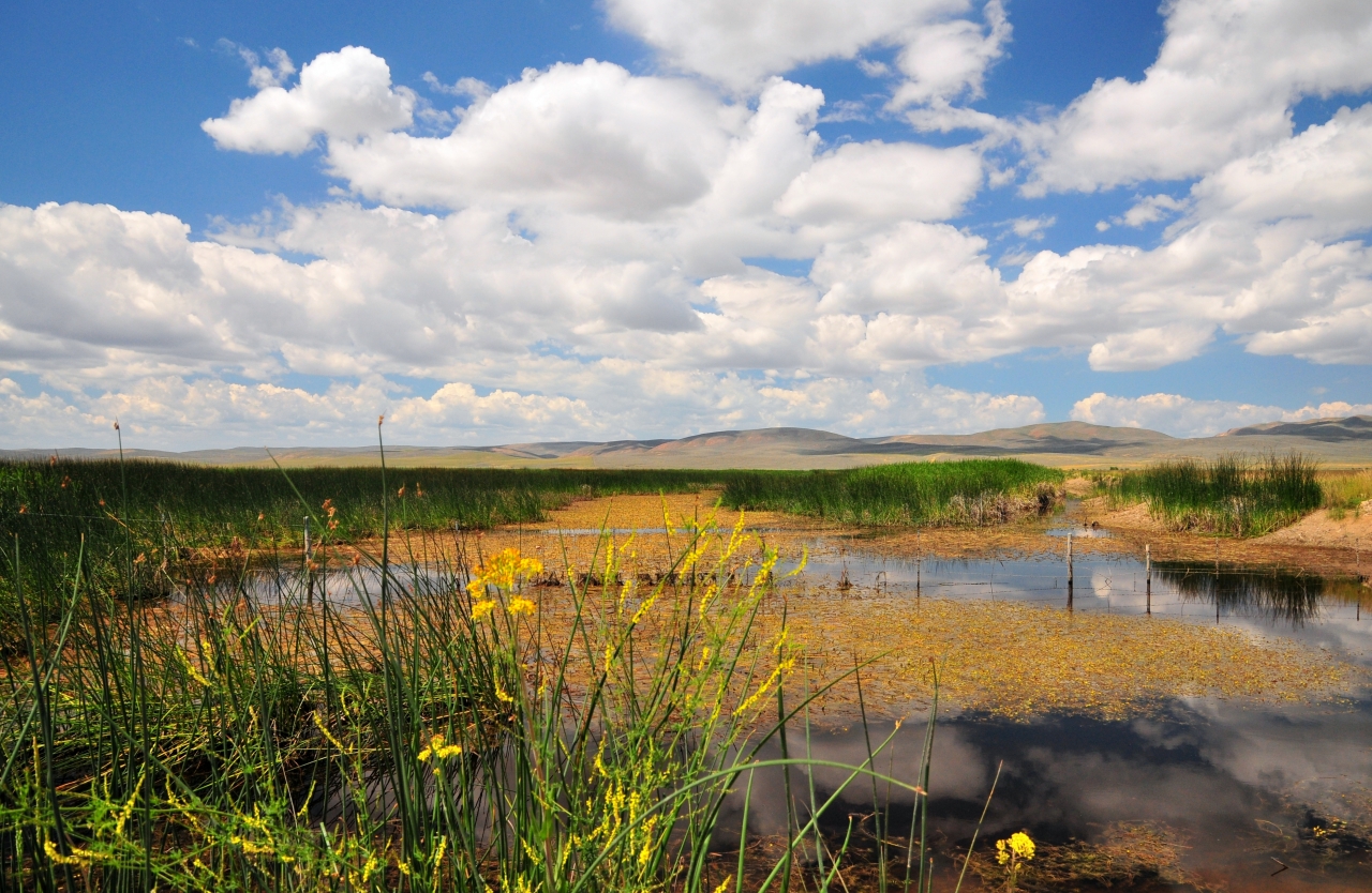 Wetlands and open range at Cokeville Meadows near Cokeville, Wyoming